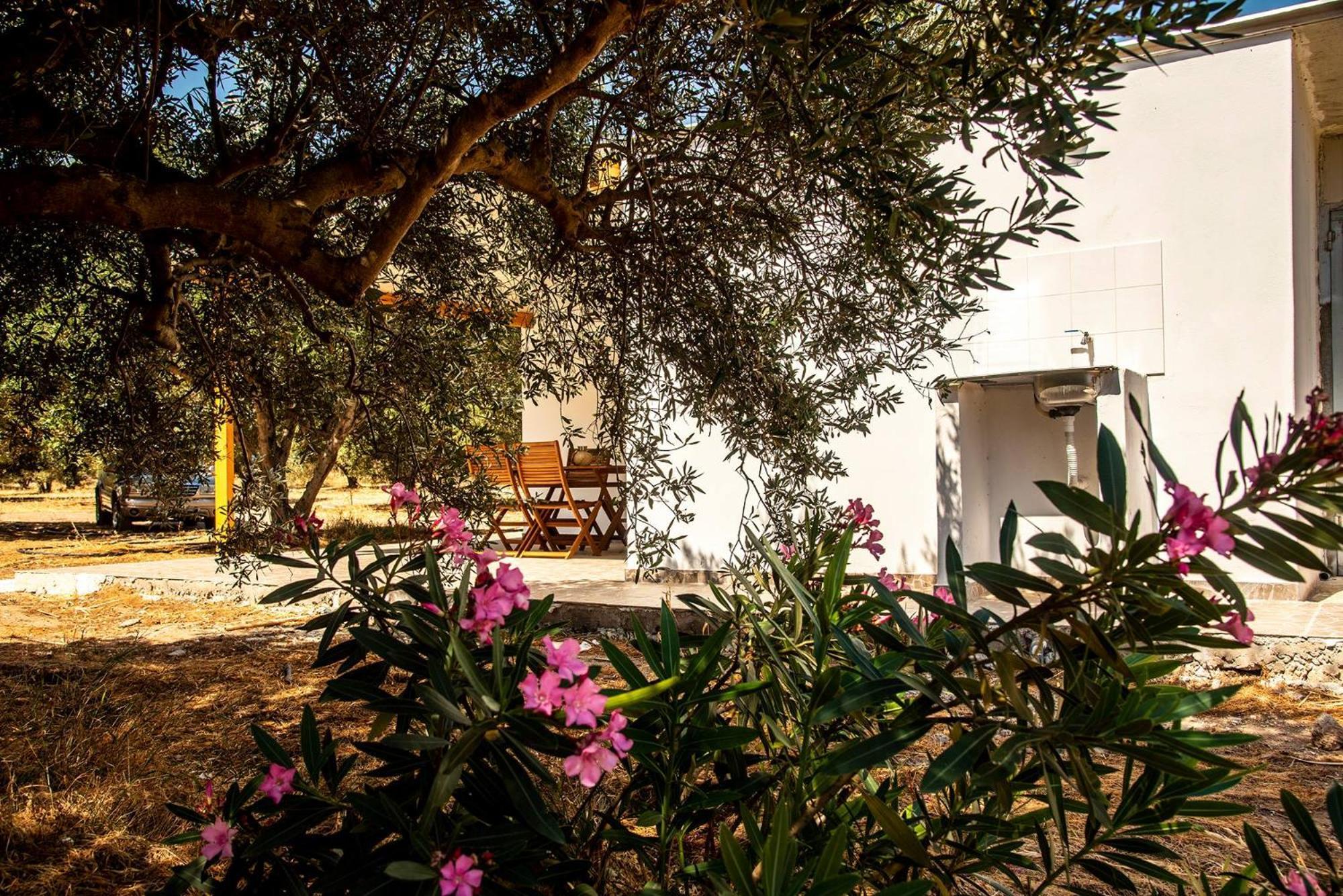 Flamingo Colour Valey House Villa Palekastro Exterior photo